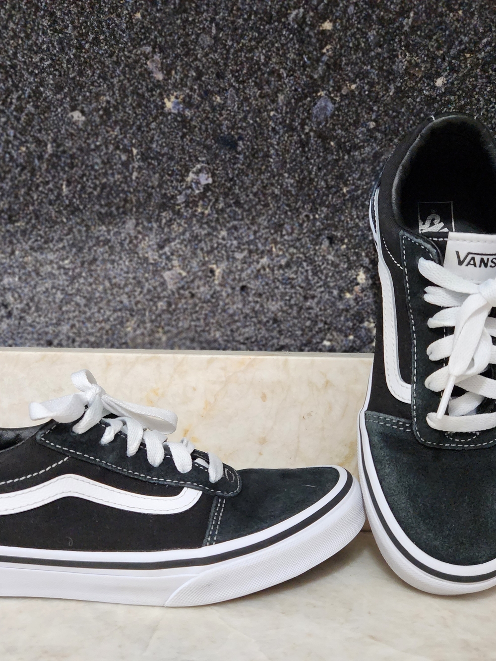 Vans Black & White Low-Top Skate Sneakers